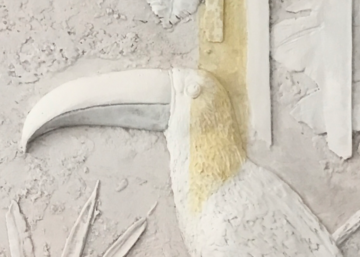 plaster relief tucano made from Michela Ciappini